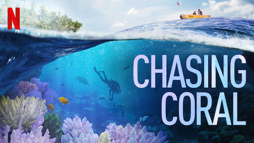 Watch Chasing Coral | Netflix Official Site